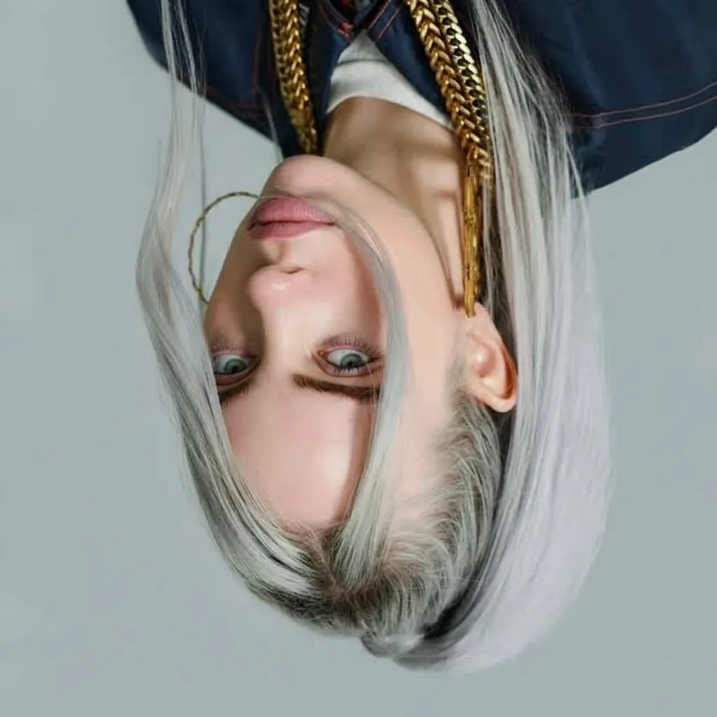 Selfie Mirror Flip example